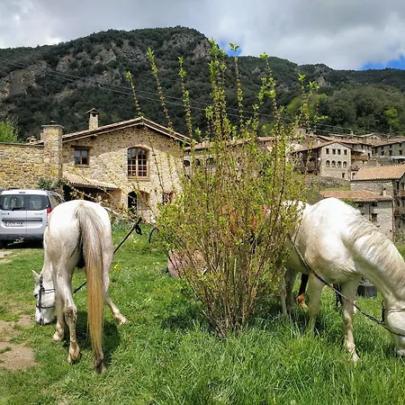 Bed and Breakfast La Cabanya De