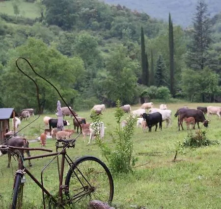 Mas La Cabanya De * Beget